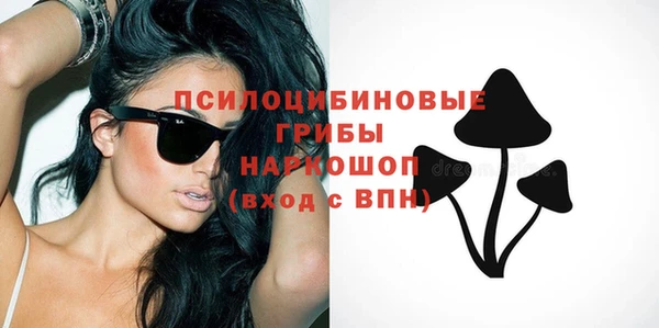 spice Арсеньев