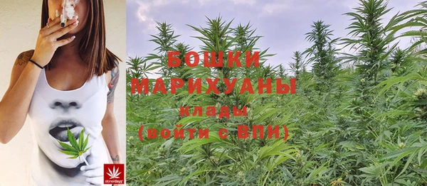 ГАЛЛЮЦИНОГЕННЫЕ ГРИБЫ Балабаново
