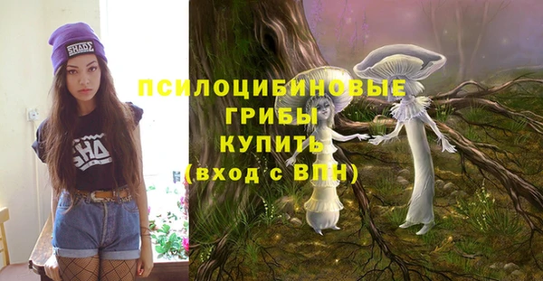 шишки Баксан