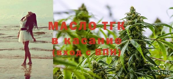 шишки Баксан