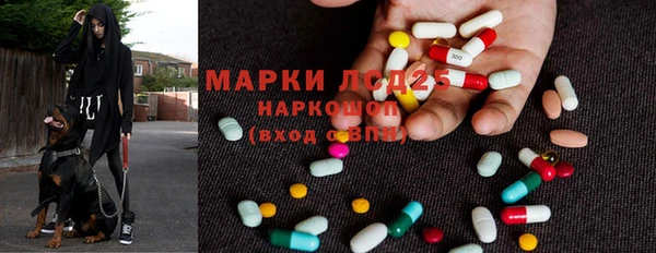 кокс Аркадак