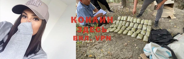 кокс Аркадак
