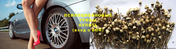 ALPHA-PVP Армянск