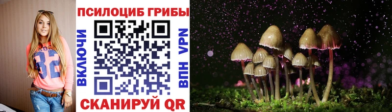 наркошоп  Краснослободск  Псилоцибиновые грибы MAGIC MUSHROOMS 
